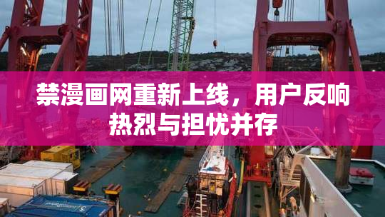 禁漫画网重新上线，用户反响热烈与担忧并存