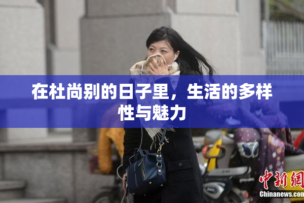 在杜尚别的日子里，生活的多样性与魅力