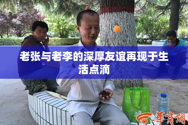 老张与老李的深厚友谊再现于生活点滴