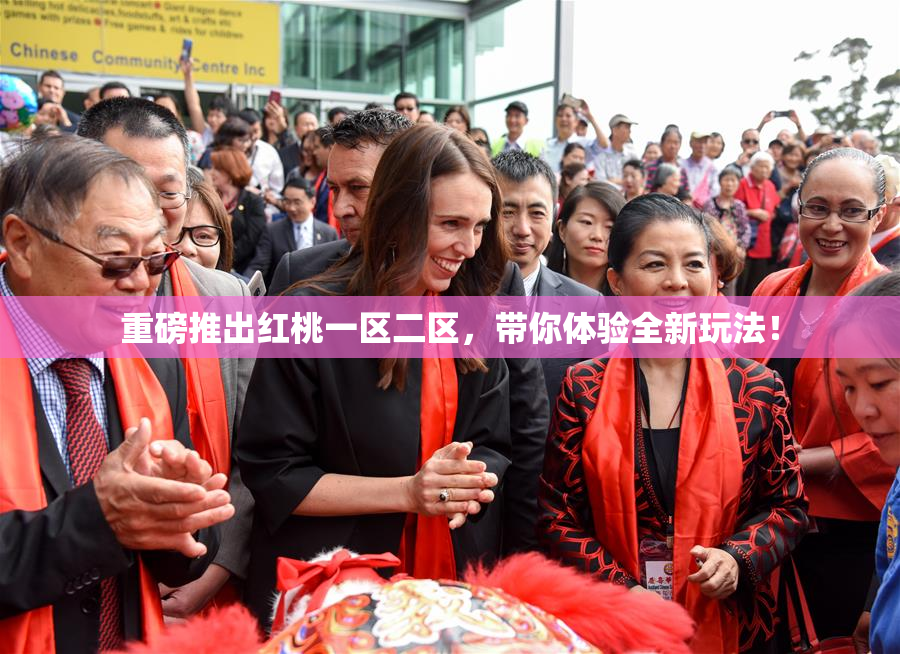 重磅推出红桃一区二区，带你体验全新玩法！