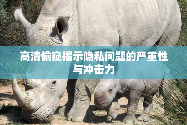 高清偷窥揭示隐私问题的严重性与冲击力