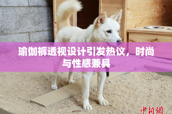 瑜伽裤透视设计引发热议，时尚与性感兼具
