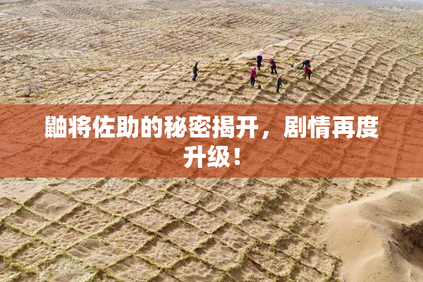 鼬将佐助的秘密揭开，剧情再度升级！