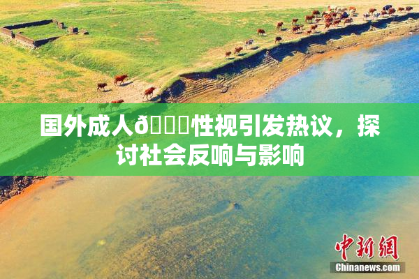 国外成人🔞性视引发热议，探讨社会反响与影响