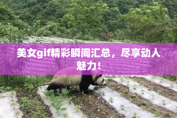 美女gif精彩瞬间汇总，尽享动人魅力！