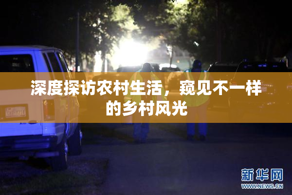 深度探访农村生活，窥见不一样的乡村风光