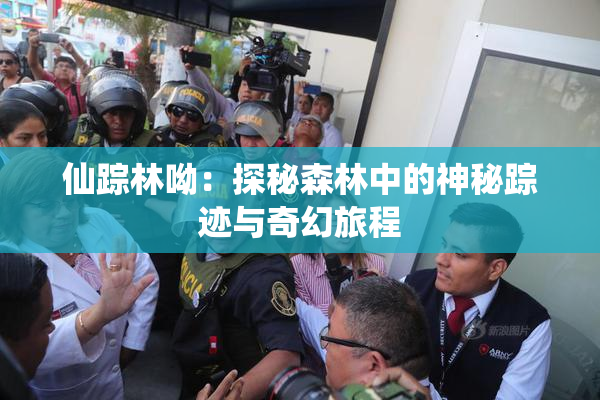 仙踪林呦：探秘森林中的神秘踪迹与奇幻旅程