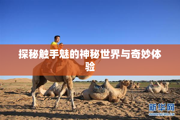 探秘触手魅的神秘世界与奇妙体验
