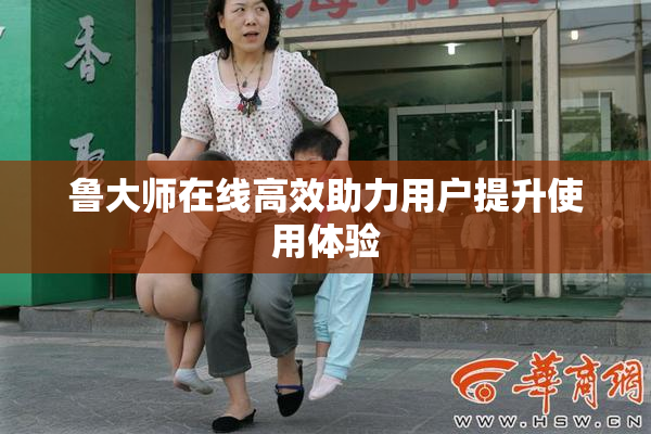 鲁大师在线高效助力用户提升使用体验