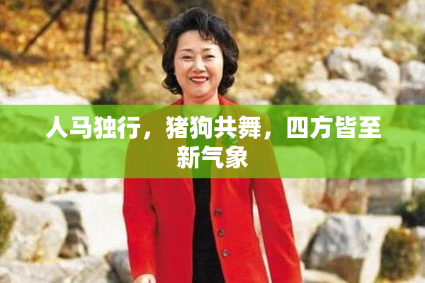 人马独行，猪狗共舞，四方皆至新气象
