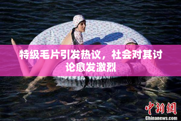 特级毛片引发热议，社会对其讨论愈发激烈