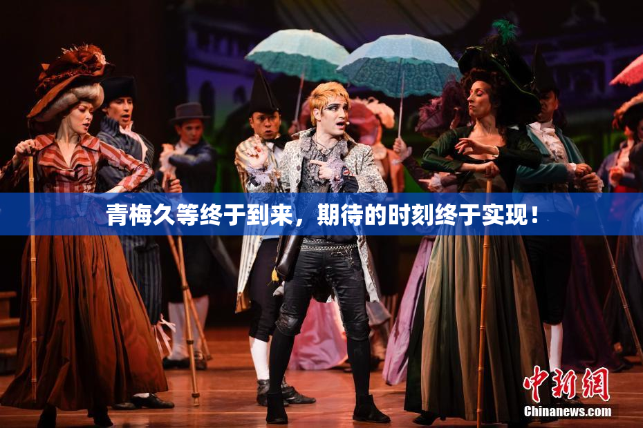 青梅久等终于到来，期待的时刻终于实现！