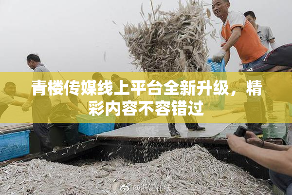青楼传媒线上平台全新升级，精彩内容不容错过