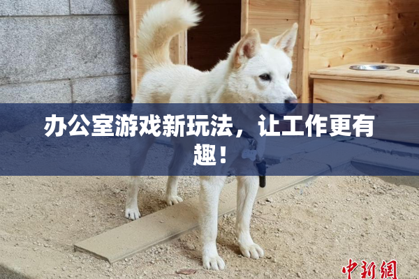 办公室游戏新玩法，让工作更有趣！
