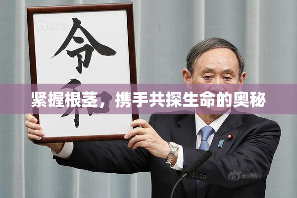 紧握根茎，携手共探生命的奥秘