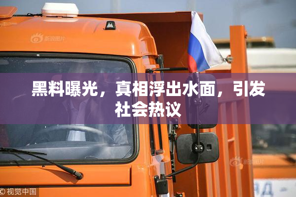 黑料曝光，真相浮出水面，引发社会热议