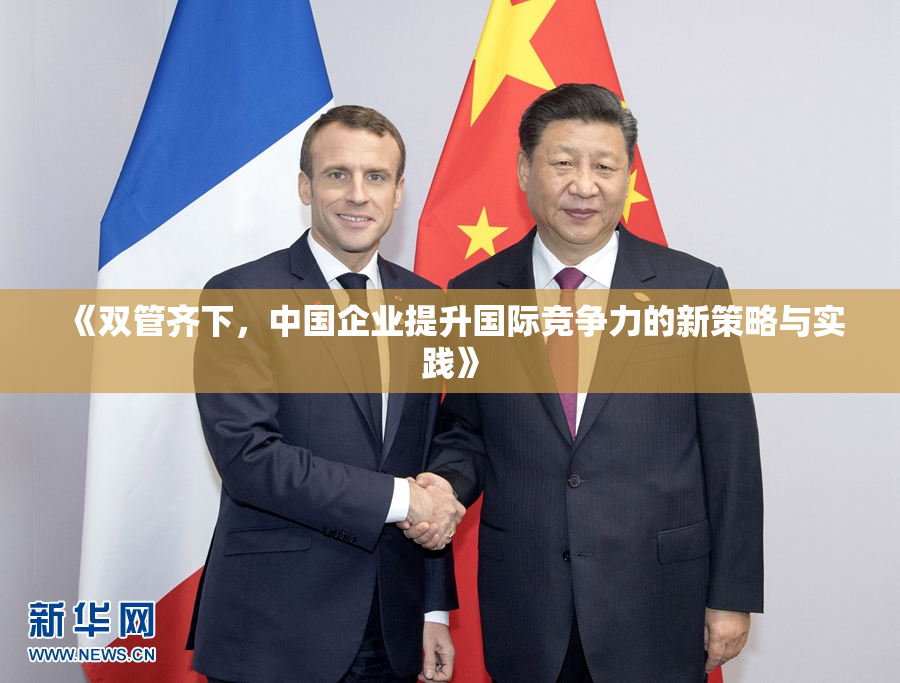 《双管齐下，中国企业提升国际竞争力的新策略与实践》