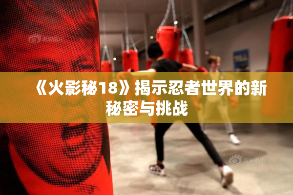 《火影秘18》揭示忍者世界的新秘密与挑战