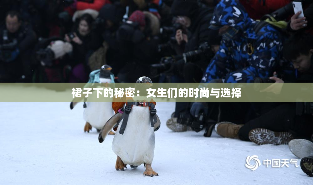 裙子下的秘密：女生们的时尚与选择