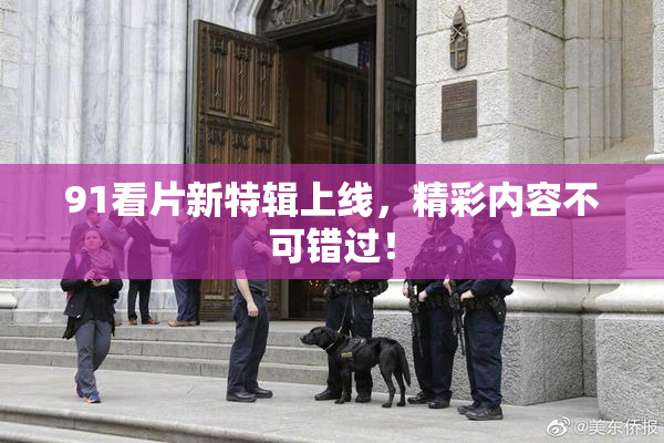 91看片新特辑上线，精彩内容不可错过！
