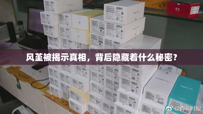 风堇被揭示真相，背后隐藏着什么秘密？