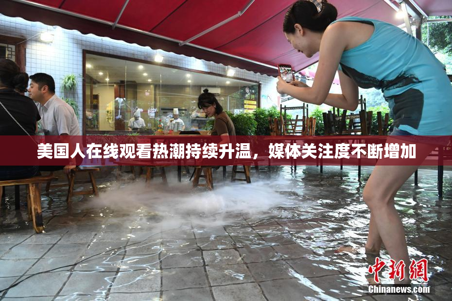 美国人在线观看热潮持续升温，媒体关注度不断增加
