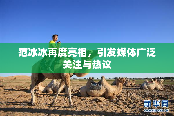范冰冰再度亮相，引发媒体广泛关注与热议