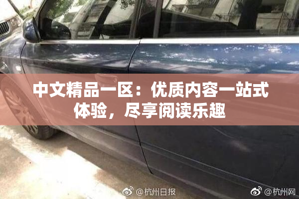 中文精品一区：优质内容一站式体验，尽享阅读乐趣