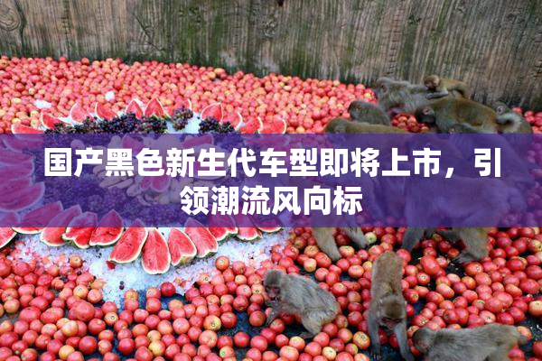 国产黑色新生代车型即将上市，引领潮流风向标