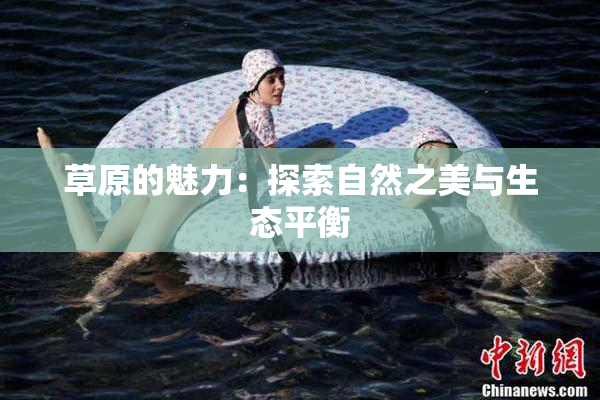 草原的魅力：探索自然之美与生态平衡