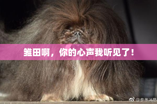 雏田啊，你的心声我听见了！