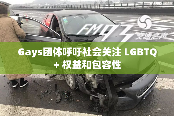 Gays团体呼吁社会关注 LGBTQ+ 权益和包容性
