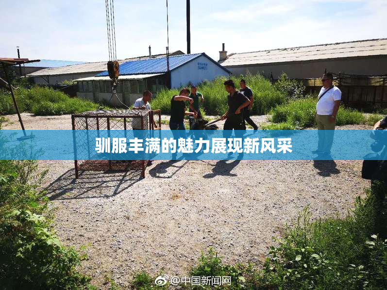 驯服丰满的魅力展现新风采