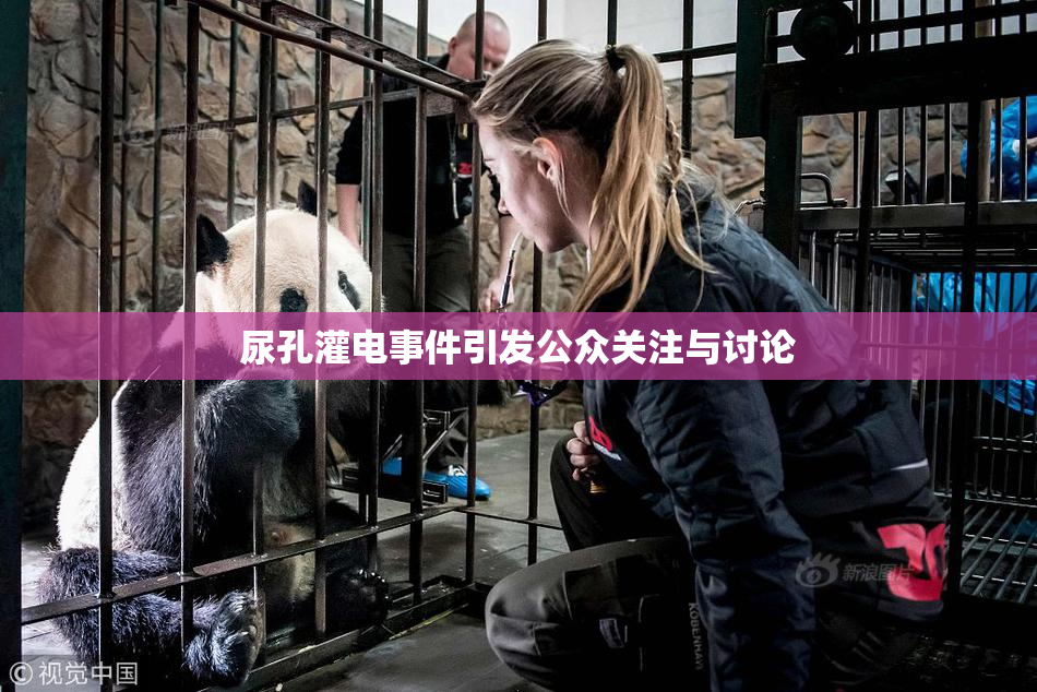 尿孔灌电事件引发公众关注与讨论