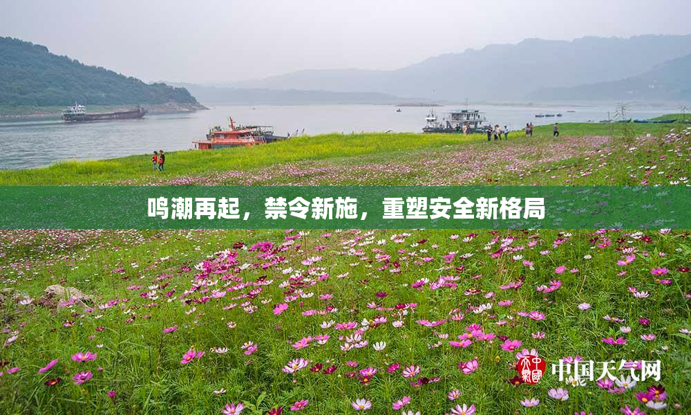鸣潮再起，禁令新施，重塑安全新格局