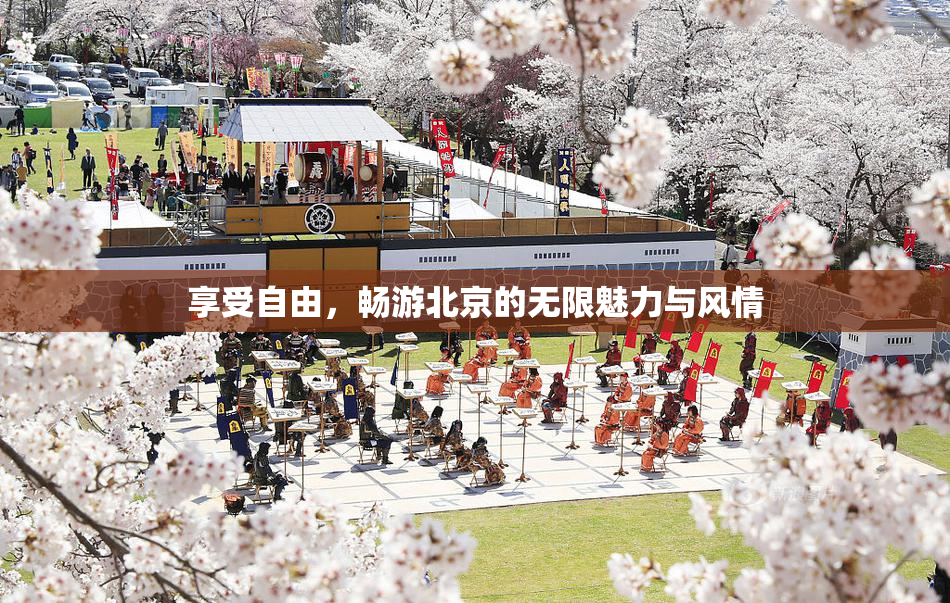 享受自由，畅游北京的无限魅力与风情