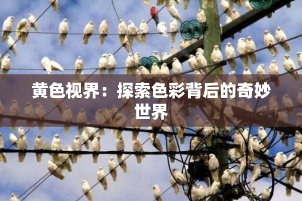 黄色视界：探索色彩背后的奇妙世界