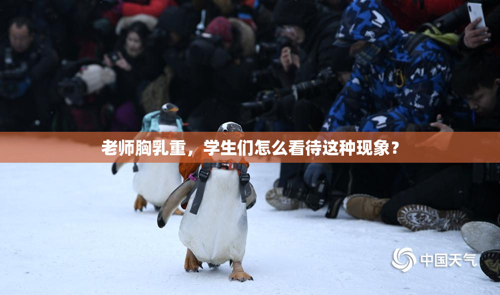 老师胸乳重，学生们怎么看待这种现象？