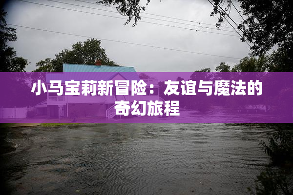 小马宝莉新冒险：友谊与魔法的奇幻旅程