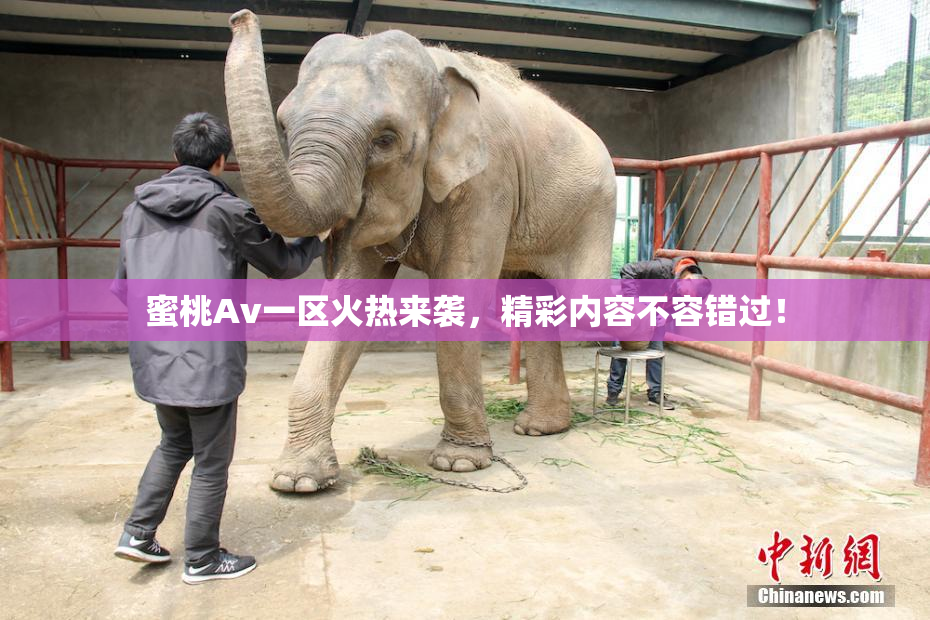 蜜桃Av一区火热来袭，精彩内容不容错过！