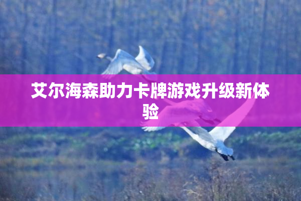 艾尔海森助力卡牌游戏升级新体验