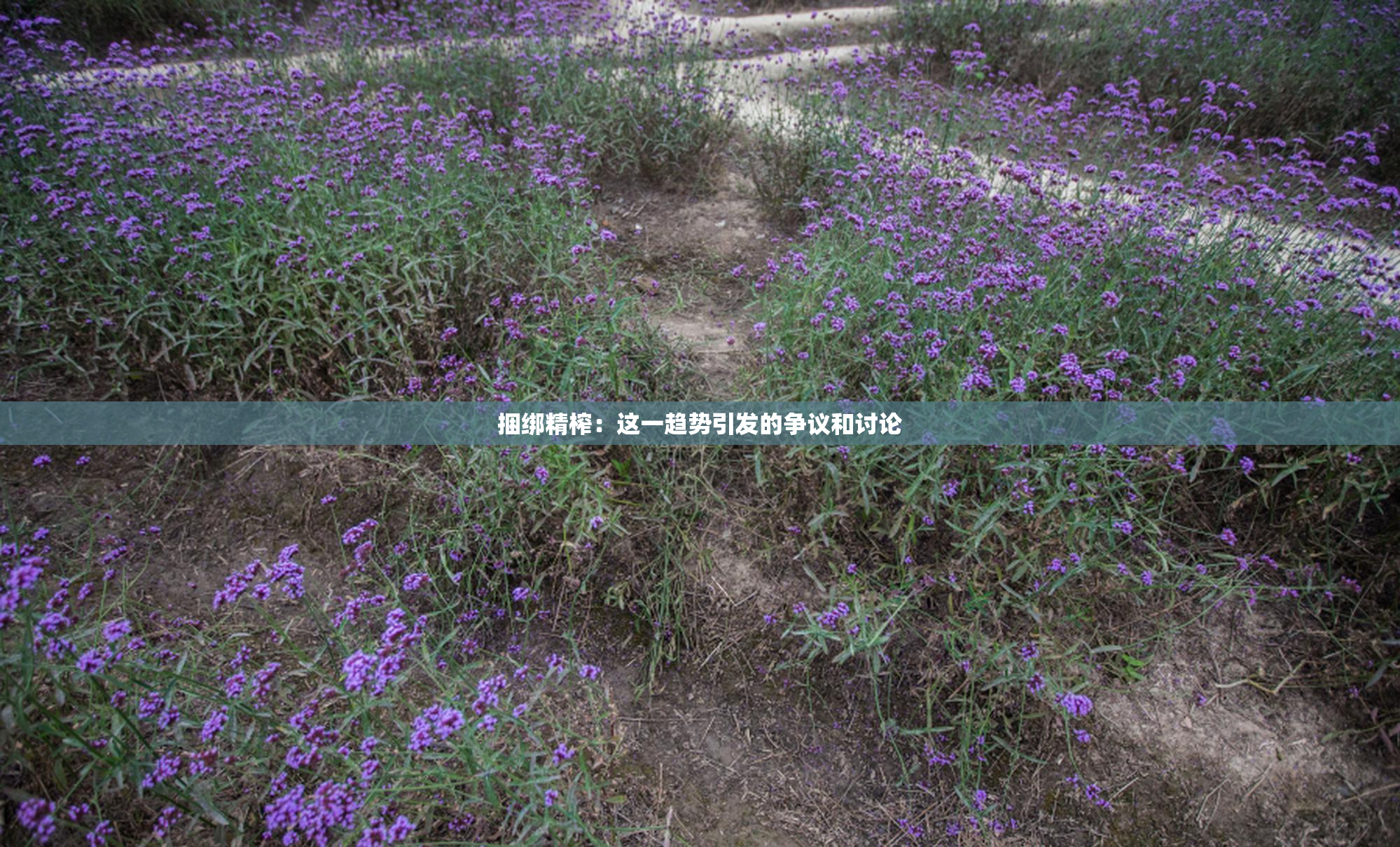 捆绑精榨：这一趋势引发的争议和讨论