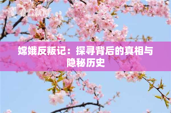 嫦娥反叛记：探寻背后的真相与隐秘历史