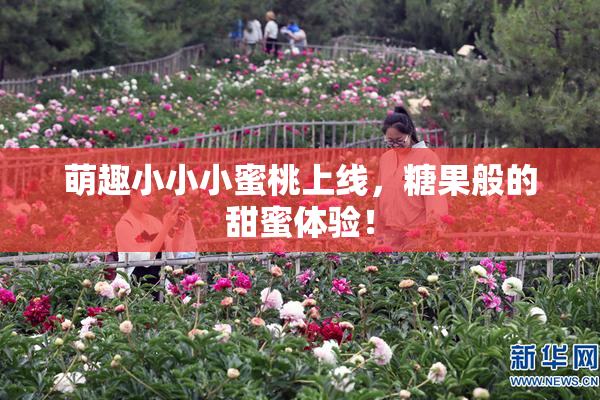 萌趣小小小蜜桃上线，糖果般的甜蜜体验！