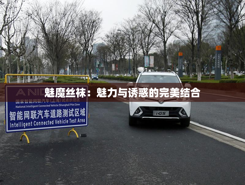 魅魔丝袜：魅力与诱惑的完美结合