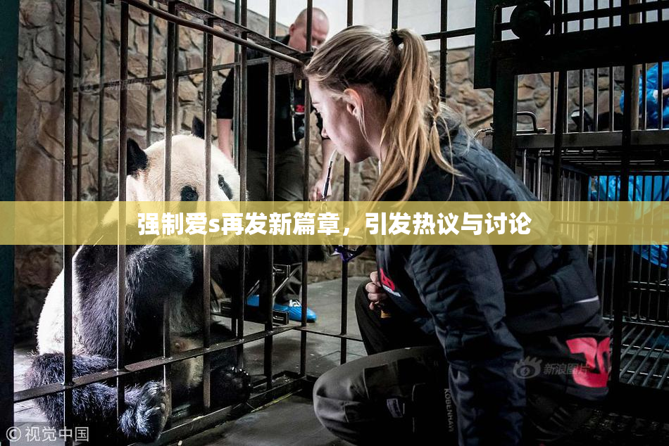 强制爱s再发新篇章，引发热议与讨论