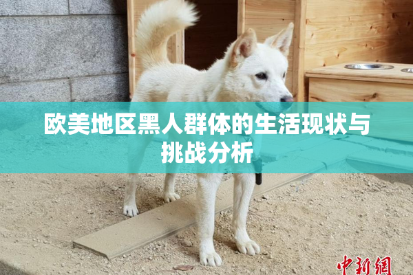 欧美地区黑人群体的生活现状与挑战分析