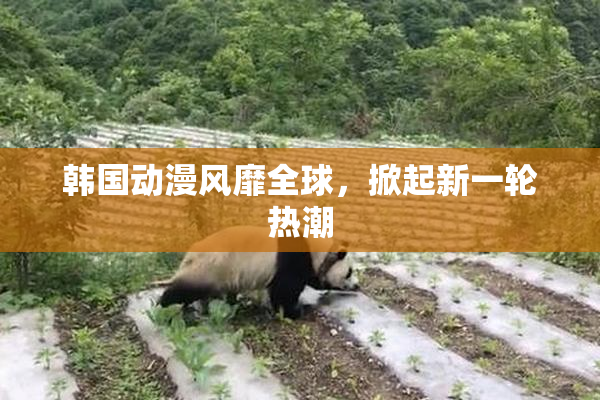韩国动漫风靡全球，掀起新一轮热潮