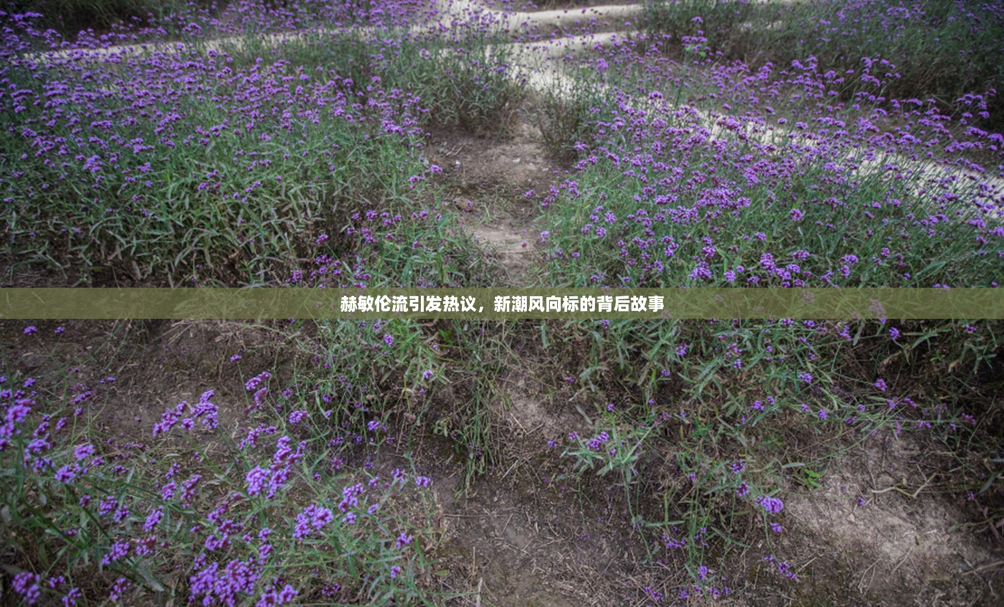 赫敏伦流引发热议，新潮风向标的背后故事