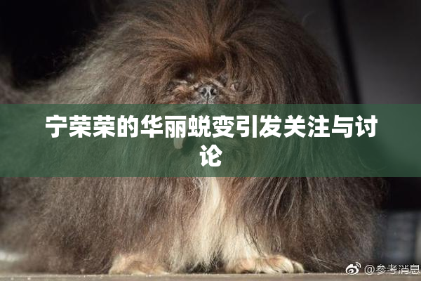 宁荣荣的华丽蜕变引发关注与讨论